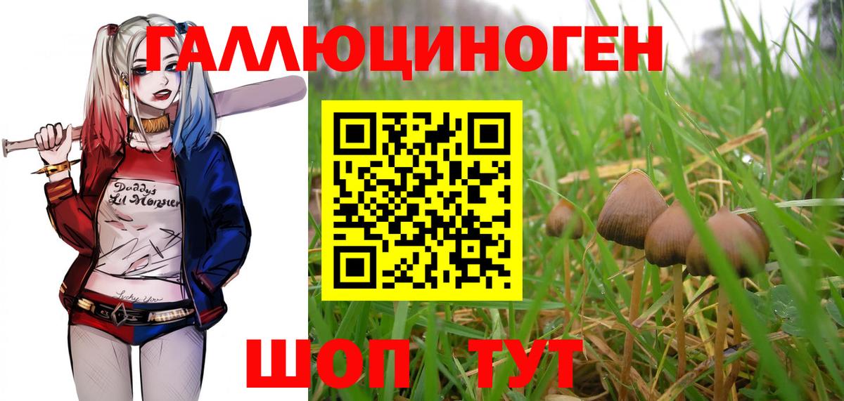 Еманжелинск  Галлюциногенные грибы мухоморы  Вход с VPN 